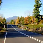 Cabanas & Hospedaje Choshuenco